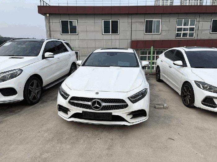 Mercedes-Benz CLS300 d