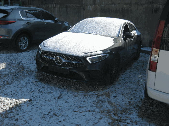 Mercedes-Benz CLS450 4MATIC
