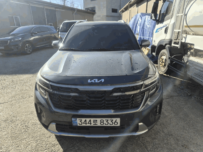 셀토스