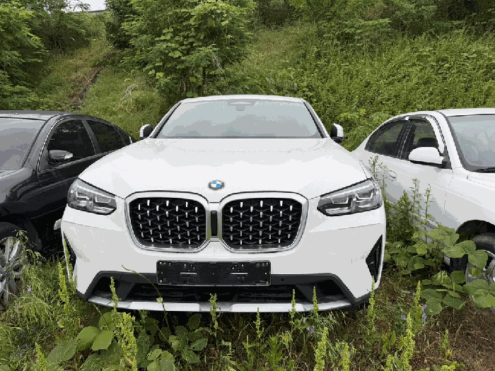 BMW X4 xDrive20i
