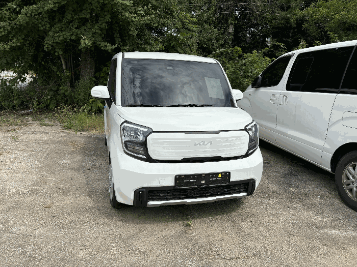레이