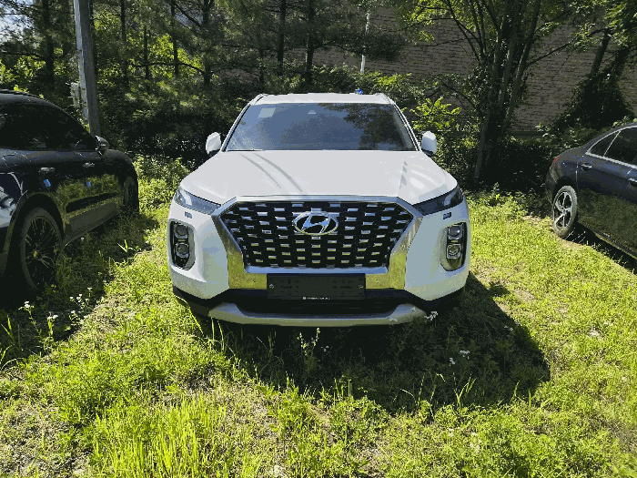 팰리세이드