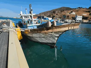 차량 사진