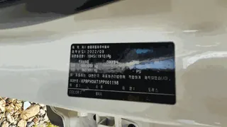 토레스 현황 사진 14