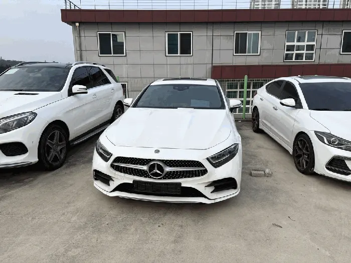 Mercedes-Benz CLS300 d