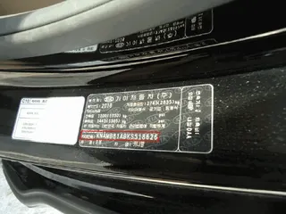 카니발 현황 사진 15