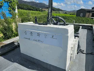— 현황 사진 6