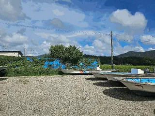 차량 사진