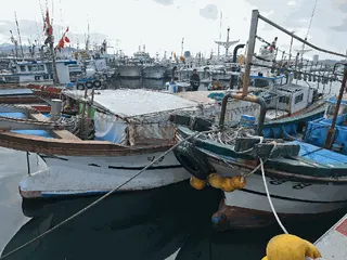 차량 사진