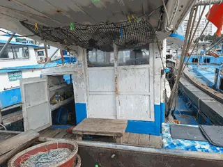 — 현황 사진 8