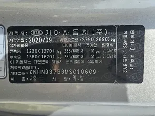 카니발 현황 사진 15