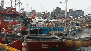 차량 사진