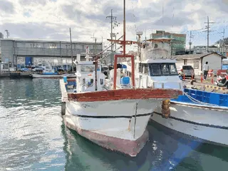 차량 사진