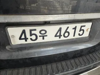카니발 현황 사진 7