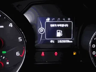 카니발 현황 사진 23
