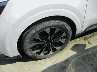 카니발 현황 사진 7