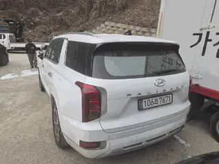 팰리세이드 현황 사진 3