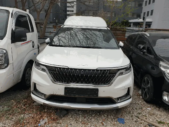 카니발 하이리무진