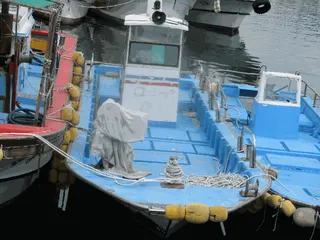 차량 사진
