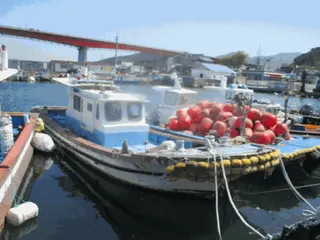 차량 사진
