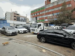 싼타페(SANTAFE) 현황 사진 13