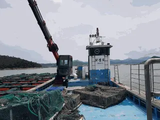 — 현황 사진 20
