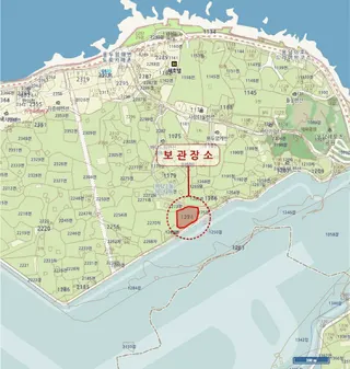 카니발 위치도 1