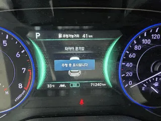 팰리세이드(PALISADE) 현황 사진 9