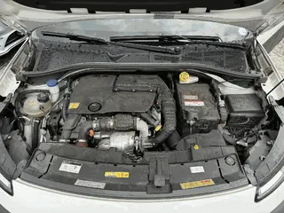 Citroen C4 Cactus 1.6 BlueHDi 현황 사진 5