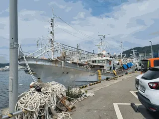 차량 사진