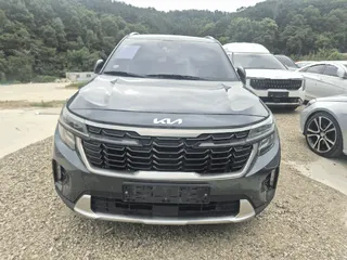 셀토스 현황 사진 1