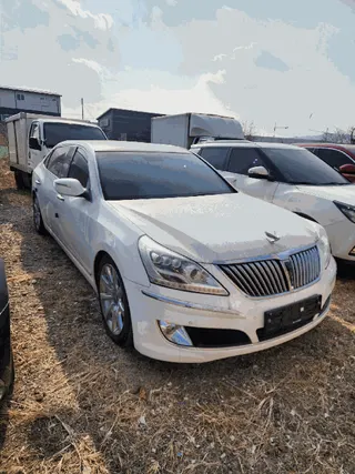 에쿠스(EQUUS) 현황 사진 5
