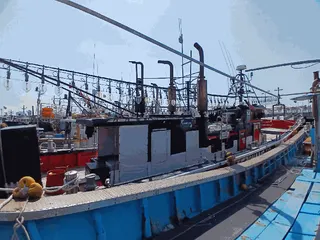 차량 사진