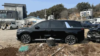 카니발 현황 사진 4