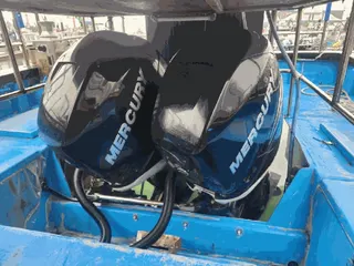 — 현황 사진 16