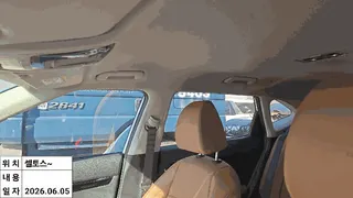 셀토스 현황 사진 10