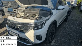 셀토스 현황 사진 4