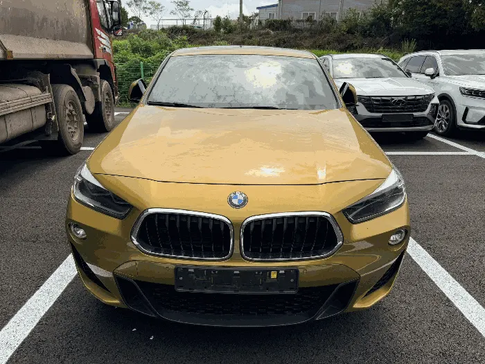 BMW X2 xDrive20d M Sport Package
