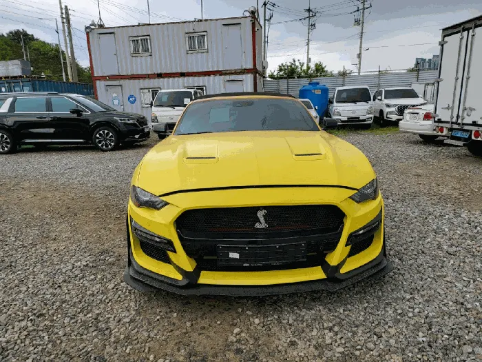 Mustang5.0 GT Convertible