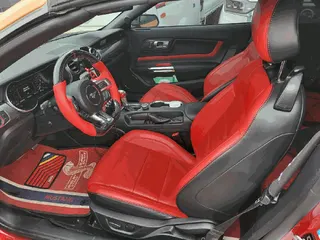 Mustang5.0 GT Convertible 현황 사진 6