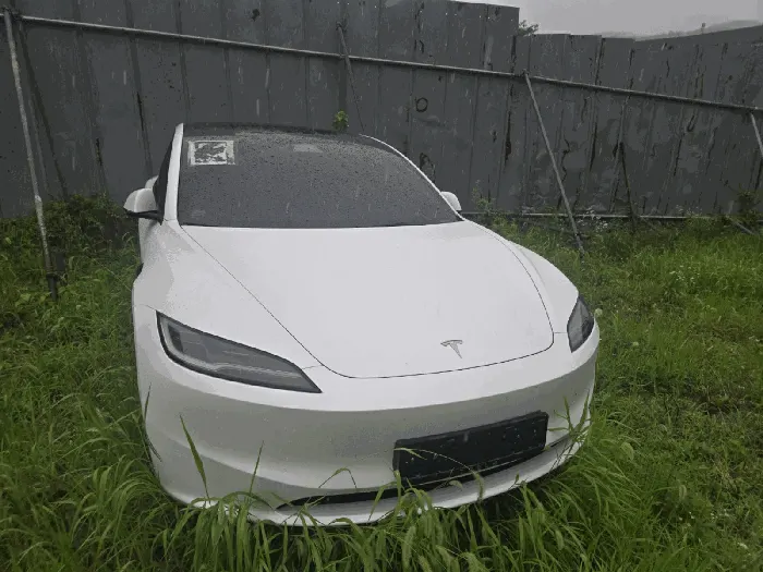 Model 3 RWD