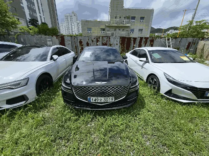 G80