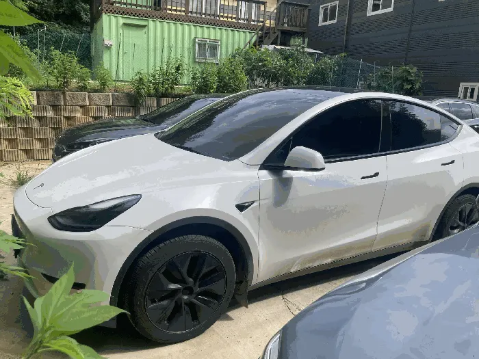 Model Y RWD