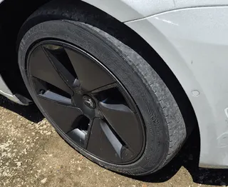 Model 3 Long Range 현황 사진 10