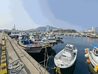 차량 사진